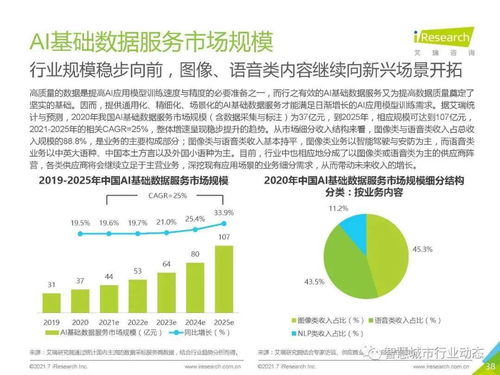 中國(guó)人工智能基礎(chǔ)軟件開發(fā)行業(yè)報(bào)告 2021 夯實(shí)智能底座，賦能產(chǎn)業(yè)變革